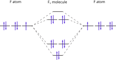 F atom on left and right, showing 5 p electrons (4 paired, 1 unpaired). F2 molecule is in center and molecular orbitals end up making all the electrons paired.