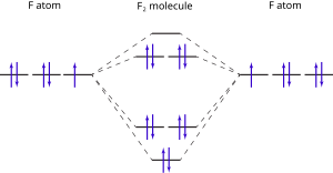 F atom on left and right, showing 5 p electrons (4 paired, 1 unpaired). F2 molecule is in center and molecular orbitals end up making all the electrons paired.