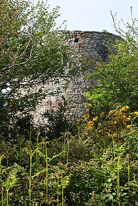 Un des trois anciens moulins situés sur la masse, en pleine lande