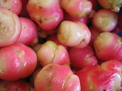 Oca tubers