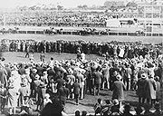 Crowd watches Pharlap win the Melbourne Cup in Australia, 1930