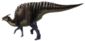 Saurolophus angustirostris