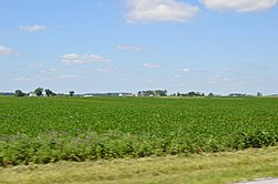 Fields west of Spencerville from State Route 117