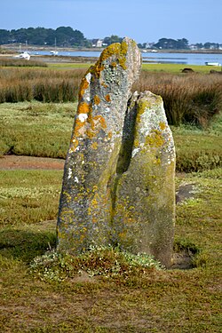 Image illustrative de l’article Menhir de Toëno