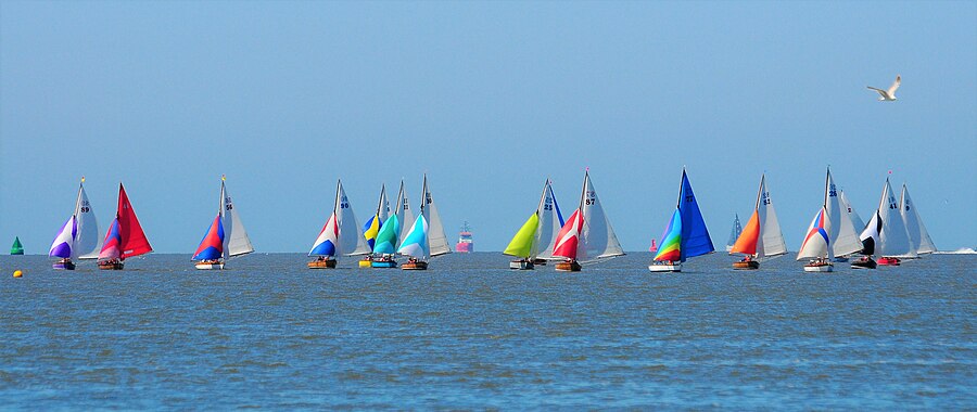 Seabird Half Raters in WYC Regatta 2018