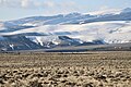 ウインド・リバー居留地のキジオライチョウ(greater sage-grouse)[19]