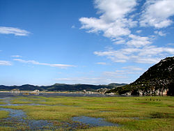 海峰湿地