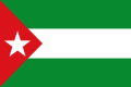 Bandera nacionalista (sin carácter oficial)