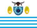 Bandeira de Aurelino Leal