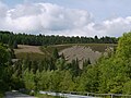 Halden in der Nähe der alten Bleihütte Clausthal / Frankenscharrnhütte