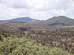 Elephant Mountain