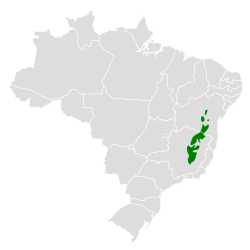 Distribución geográfica del coludo gorgipálido.