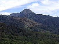 Cordillera del wissus, exuberante bosque y místico lugar, patrimonio distrital en proceso de protección.