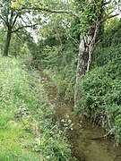 Gaudre du Destet à Mouriès