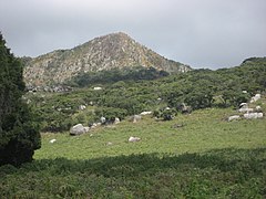 Mont Gorongosa