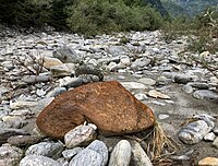 Maggia