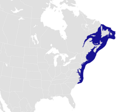 Distribuição natural de H. americanus (azul)