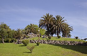 Jardim do Morro