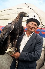 Kyrgyz traditional eagle hunter.
