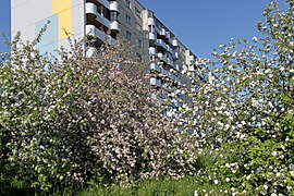 Läänemere tee 64.