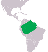 Distribución do Paleosuchus trigonatus.