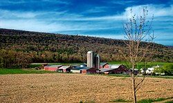 A farm in Haines Township