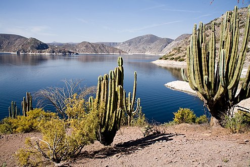 Presa Zimapán