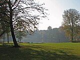 Schwanenteich im Stadtpark