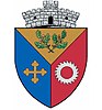Coat of arms of Schitu Golești