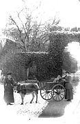 Nannies with a donkey cart at the Redburn Gate