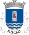 Brasão de armas de Burgães