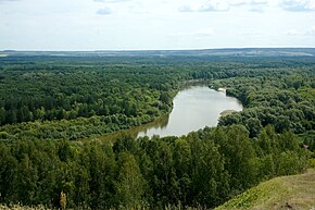 Сурский район и река Сура на переднем плане