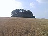 Tumulus d'Othée (M) et sa zone de protection (ZP)