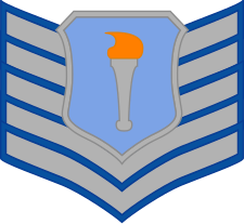 Rank insignia of a US Air Force Junior ROTC Cadet Technical Sergeant