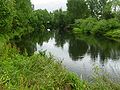 The Waihou River, as it runs through Paeroa