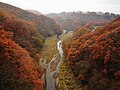 軽井沢大橋より望む湯川渓谷