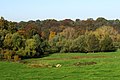 Das Wurmtal an der Wolfsfurter Mühle