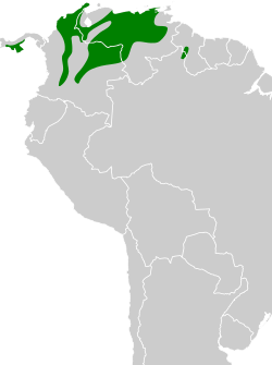 Distribución geográfica del mosquerito ojiblanco.