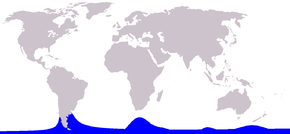 Description de l'image Cetacea_range_map_Hourglass_Dolphin.PNG.