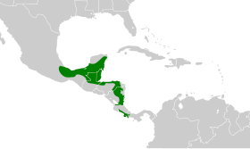 Distribución geográfica del trepatroncos sepia.