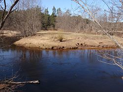 Bend in the Ahja River in the Eoste Conservation Area