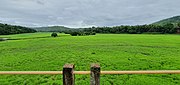 Fields of Verna near Udear Springs