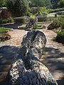 La fontana del Serpente veduta dall'alto