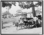 Goat wagon peddler, late 19th century