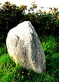 Le menhir du Guilliguy.