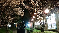 城山県社境内（夜間）