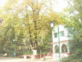 Miliana's public garden