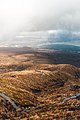 Ausblick mit Ketetahi Hut