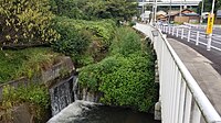 木ノ下川（八王子町内）