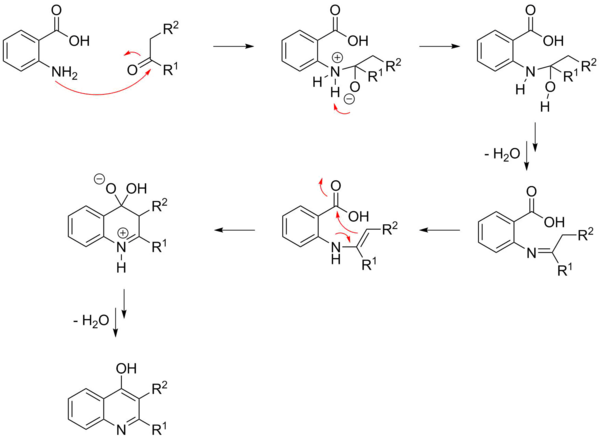 A possible mechanism of the Niementowski quinoline synthesis.